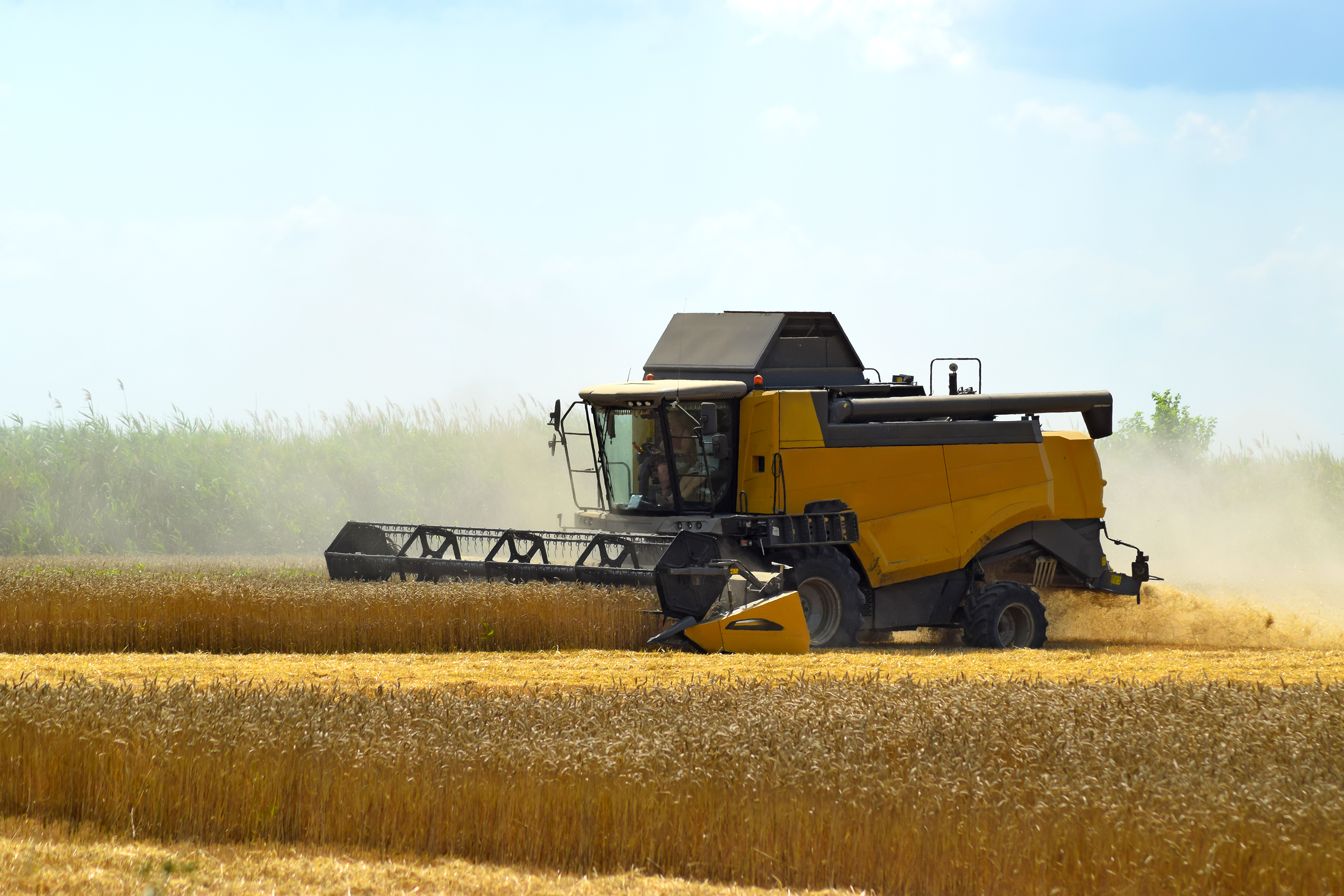 Farming harvesting equipment in wheat field